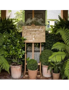 Cartel de Bienvenida